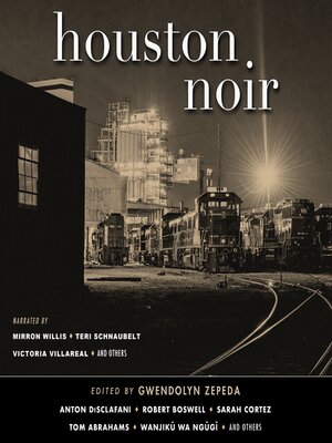 cover image of Houston Noir
